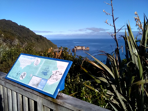 Knight's Point lookout, north of Haast