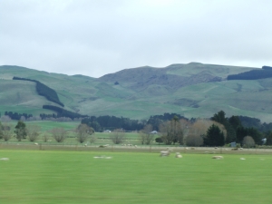 Green hills north of Christchurch