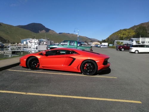 Lamborghini at Havelock