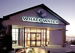 Whale Watch Kaikoura headquarters