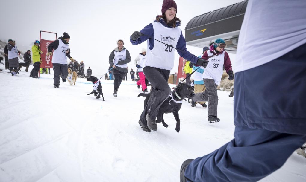 Queenstown Winter Festival Monteith's Dog Derby