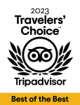TripAdvisor Travelers Choice Logo