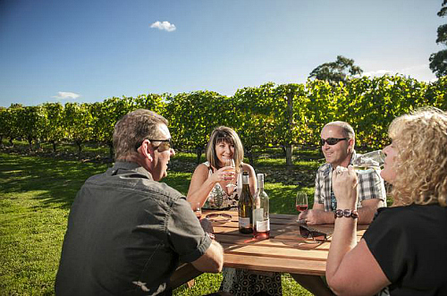 What a great day, relaxing in the Martinborough vinyards.