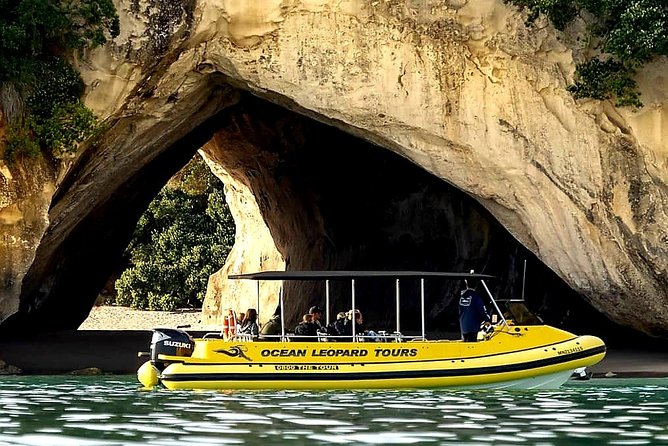 Ocean Leopard tours Cathedral Cove