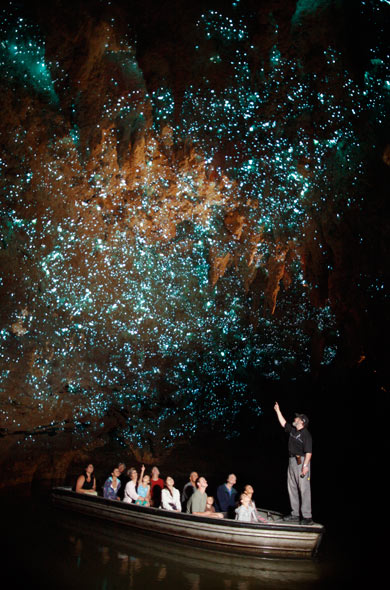 Waitomo Glowworm Caves - pic courtesy www.waitomo.com