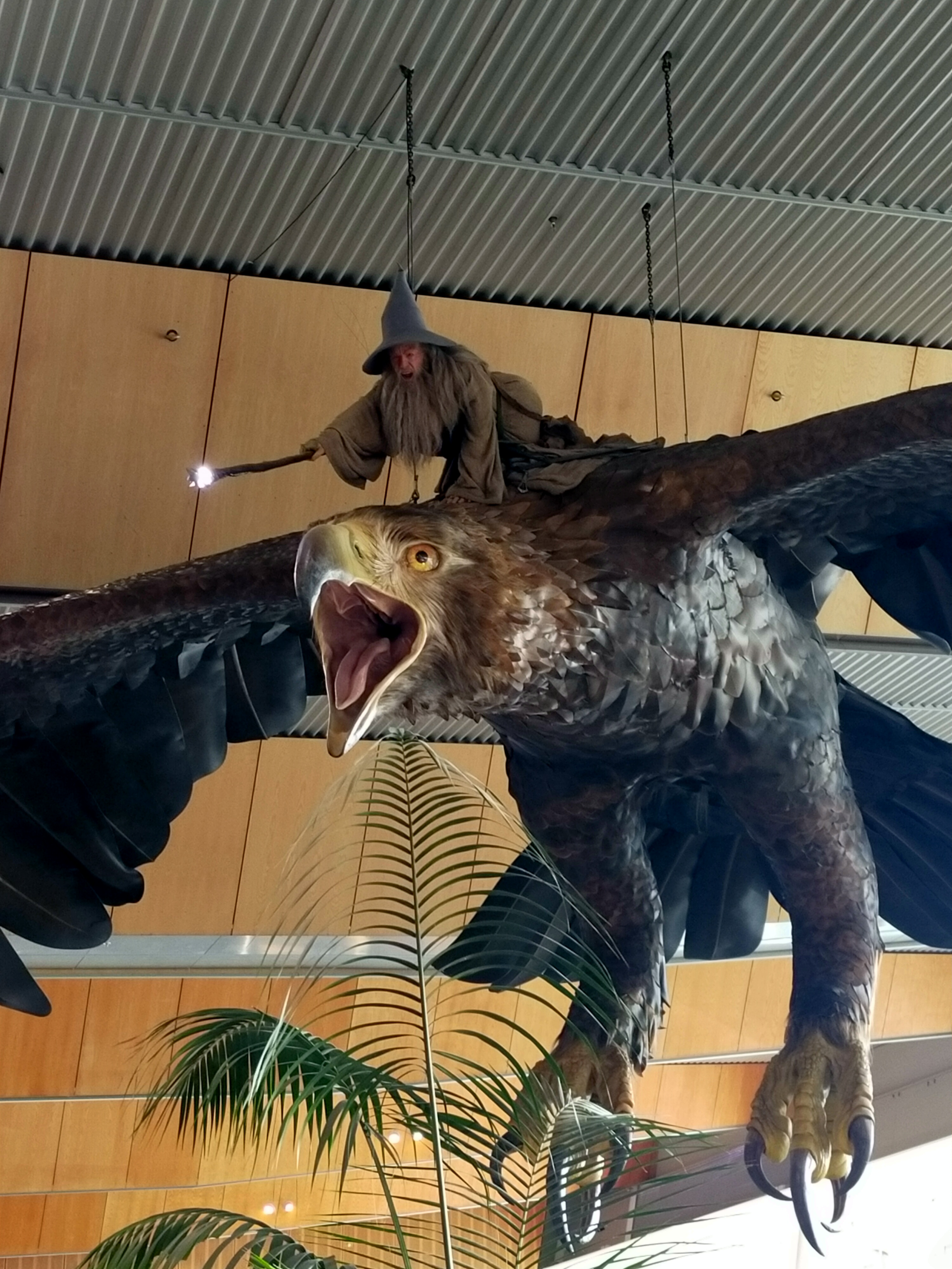 Gandalf rides an eagle into Wellington Airport
