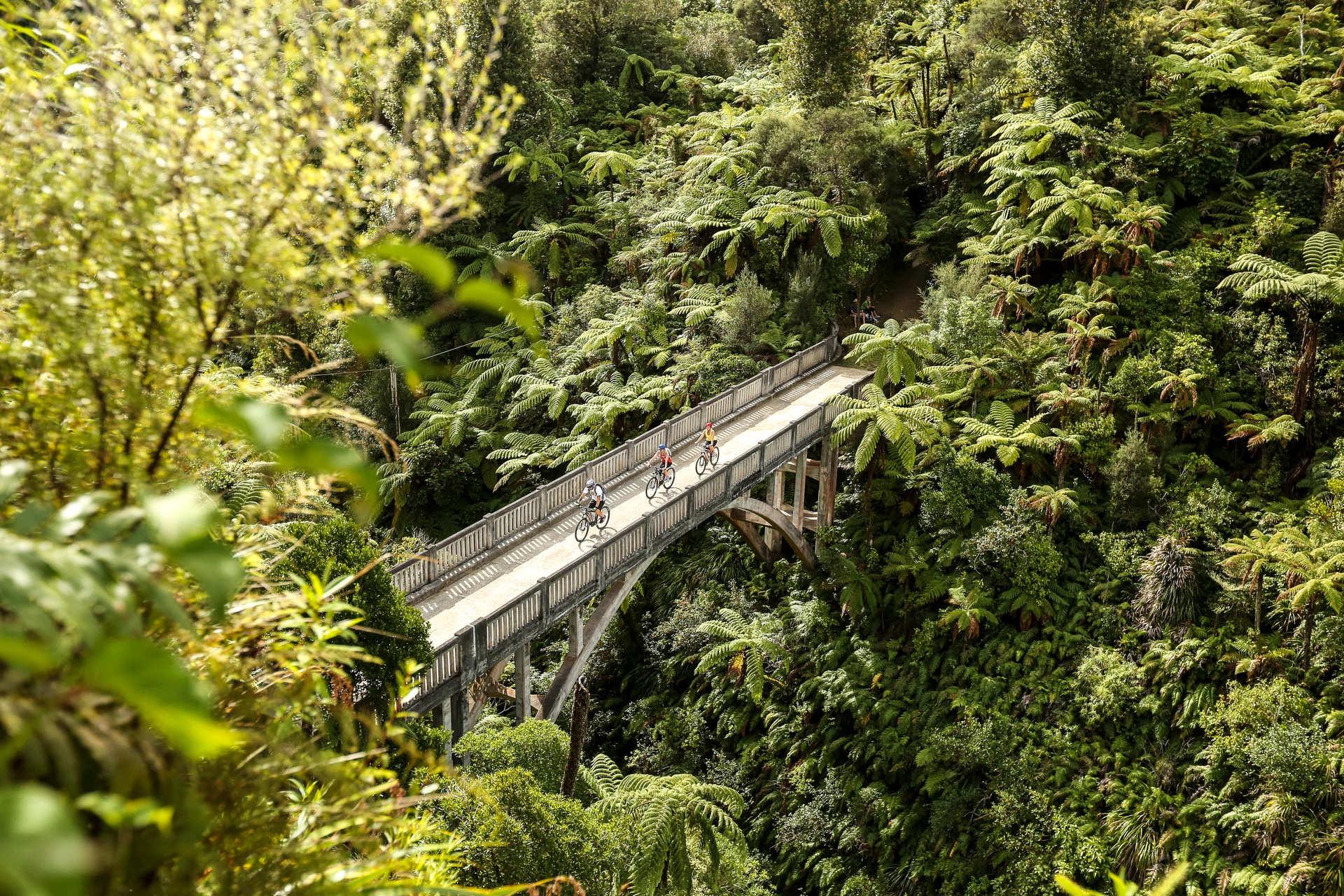 Whanganui Bridge to Nowhere courtesy Visit Ruapehu
