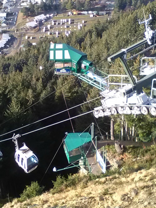 The Ledge Bungy and swing at Bob's Peak