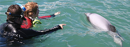 Swimming with the Akaroa dolphins is an amazing experience for all the family.