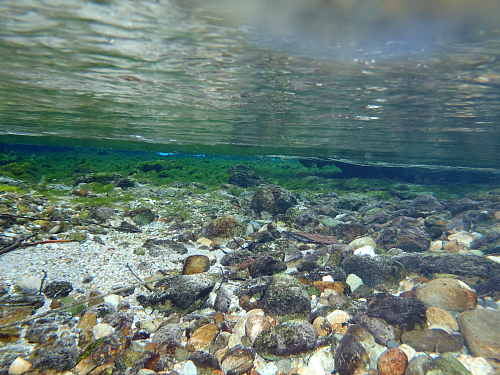 The crystal clear waters of Pu Pu Springs