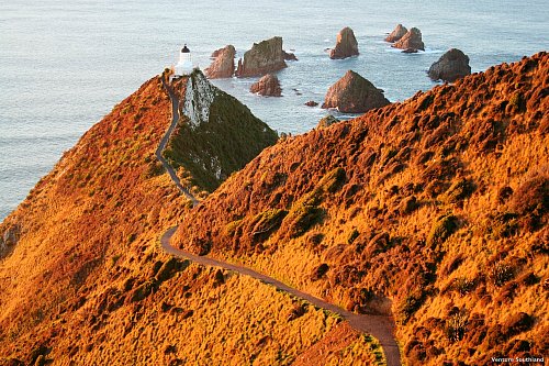 Nugget Point, Southland pic courtesy Venture Southland