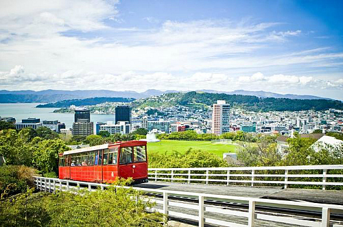 Amazing sights on the Wellington City Sights and Coast Tour