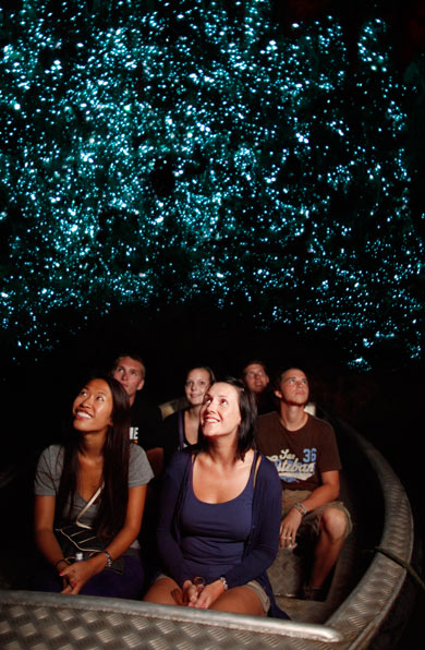 Millions of glowworms on display at Waitomo Caves - pic courtesy Waitomo.com