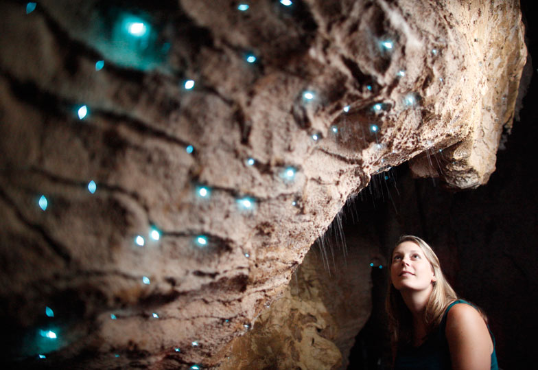 Admiring the glowworms at Waitomo Caves - image courtesy waitomo.com